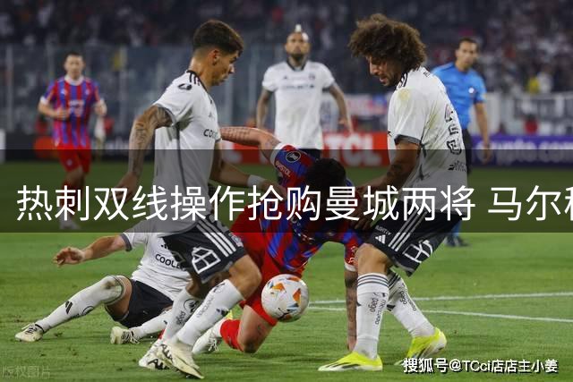 热刺双线操作抢购曼城两将 马尔穆什转会谈判启动